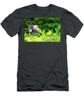 Somiedo Natural Park Donkey Asturias David Santiago Garcia T-Shirt