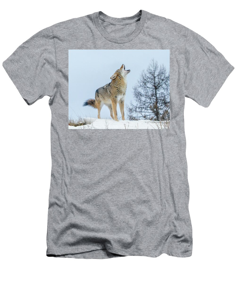 Song Dog Jack Bell T-Shirt