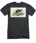 Sooty Beaver Rat Hydromys Faliginosus C5 Historic Illustrations T-Shirt