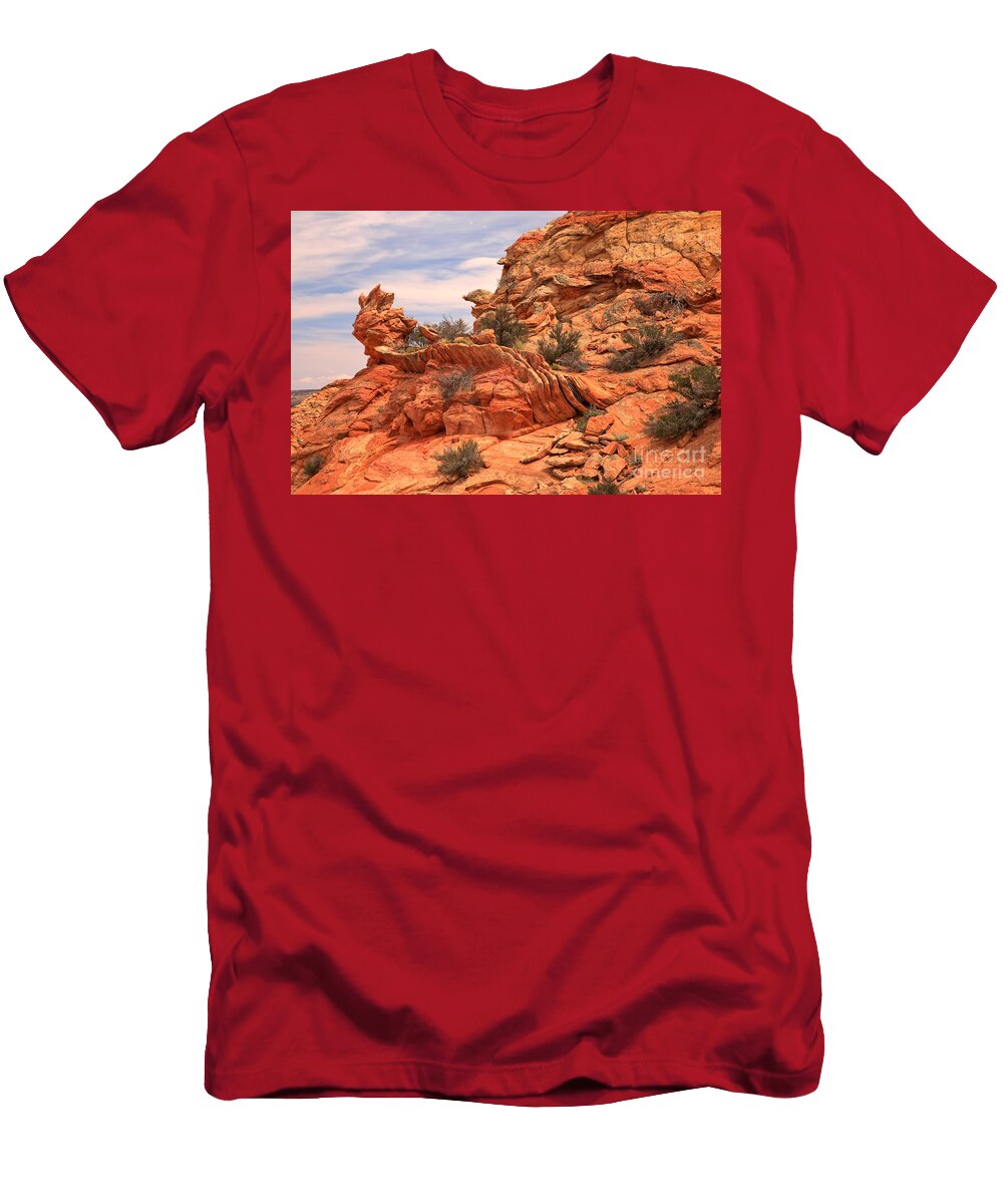 South Coyote Buttes Adam Jewell T-Shirt