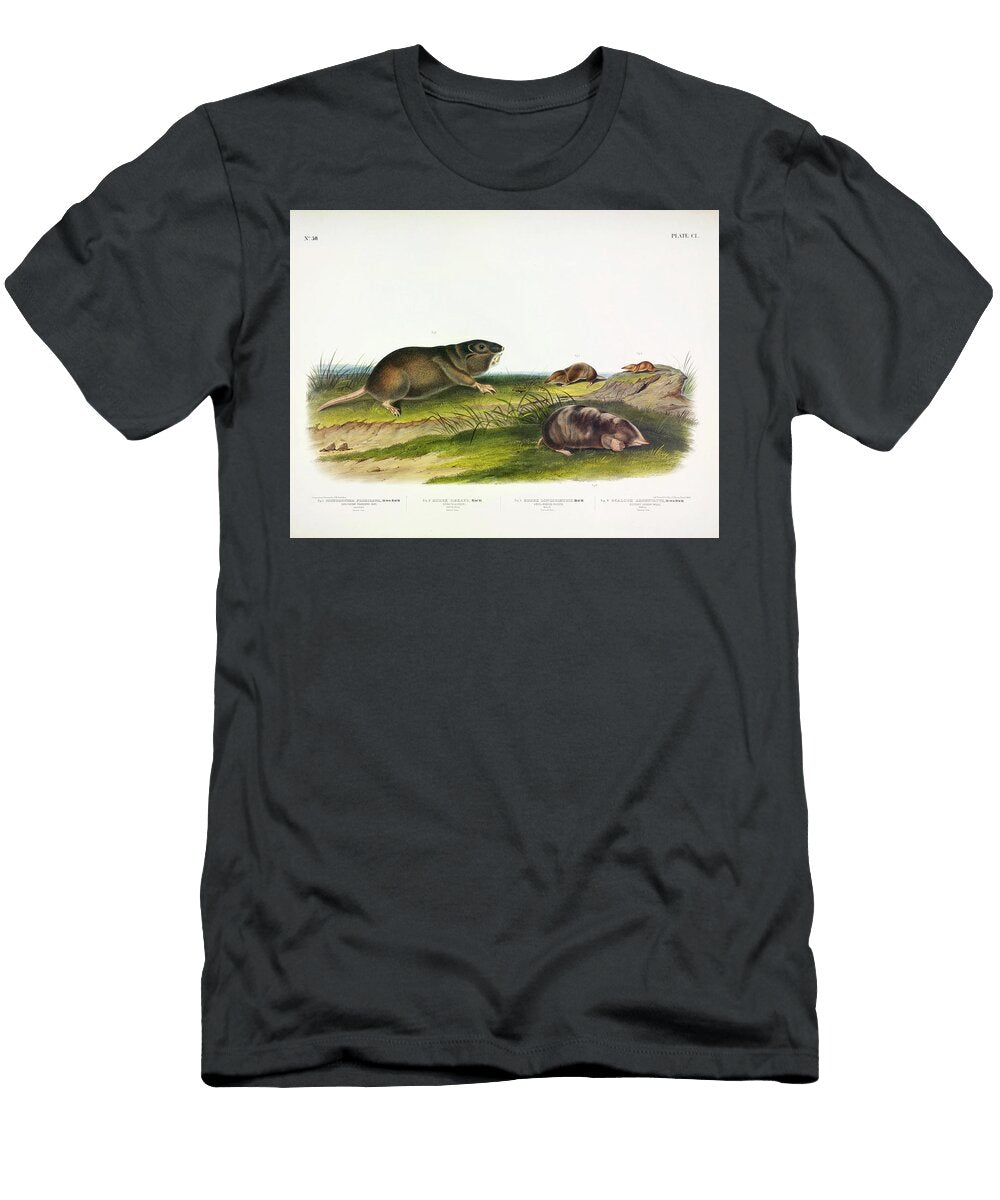 Southern Pouched Rat Dekays Shrew Long Nosed Shrew Silvery Shrew Mole John James Audubon T-Shirt