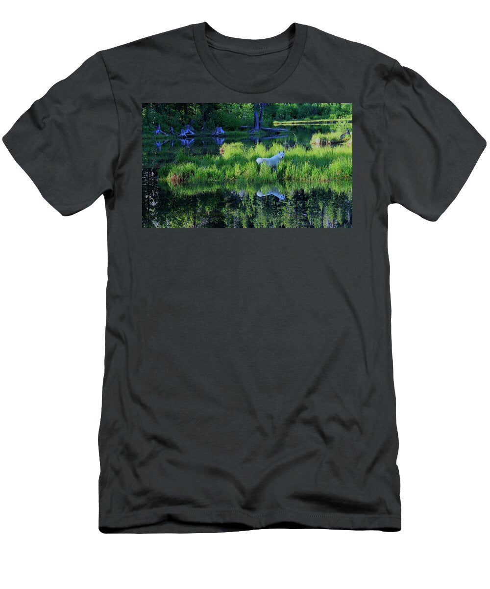 Splendor in the Grass Sean Sarsfield T-Shirt