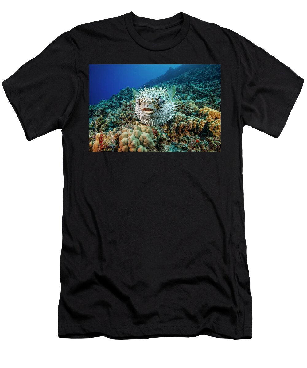 Spotted Porcupinefish Swimming Over a Reef Hawaii Pacific David Fleetham Natureplcom T-Shirt