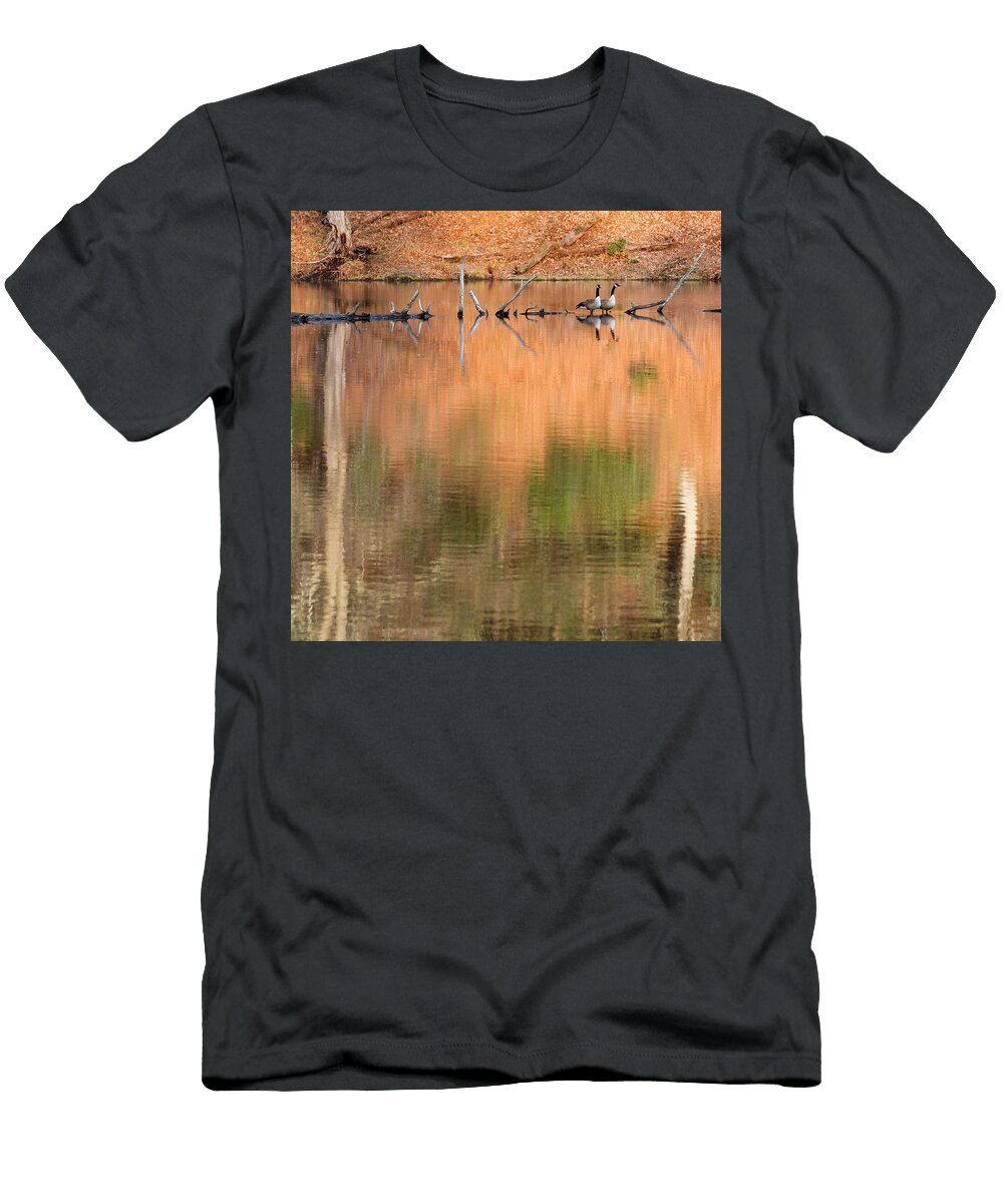 Spring Geese Square Bill Wakeley T-Shirt