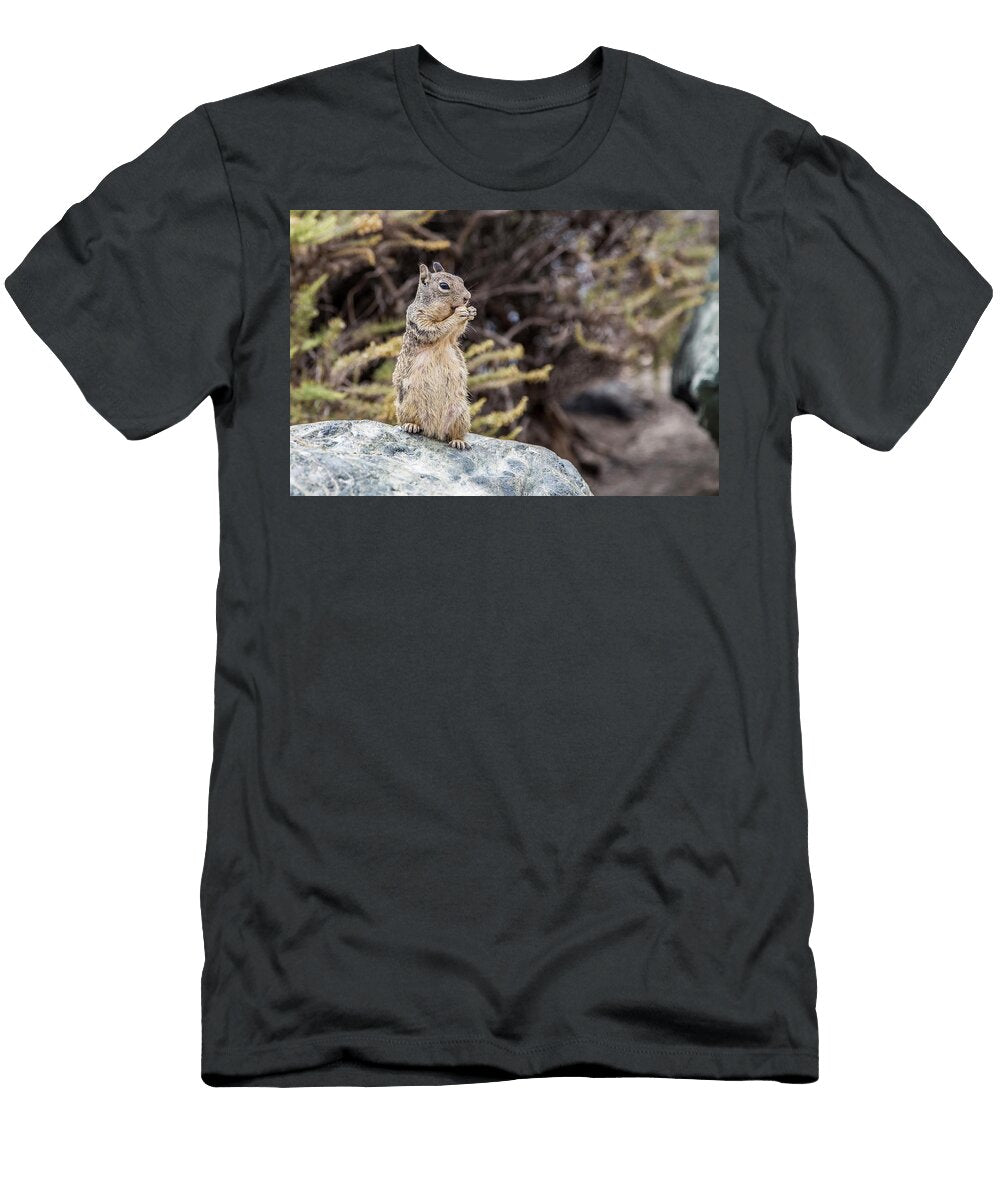 Squirrel Hannes Strondl T-Shirt