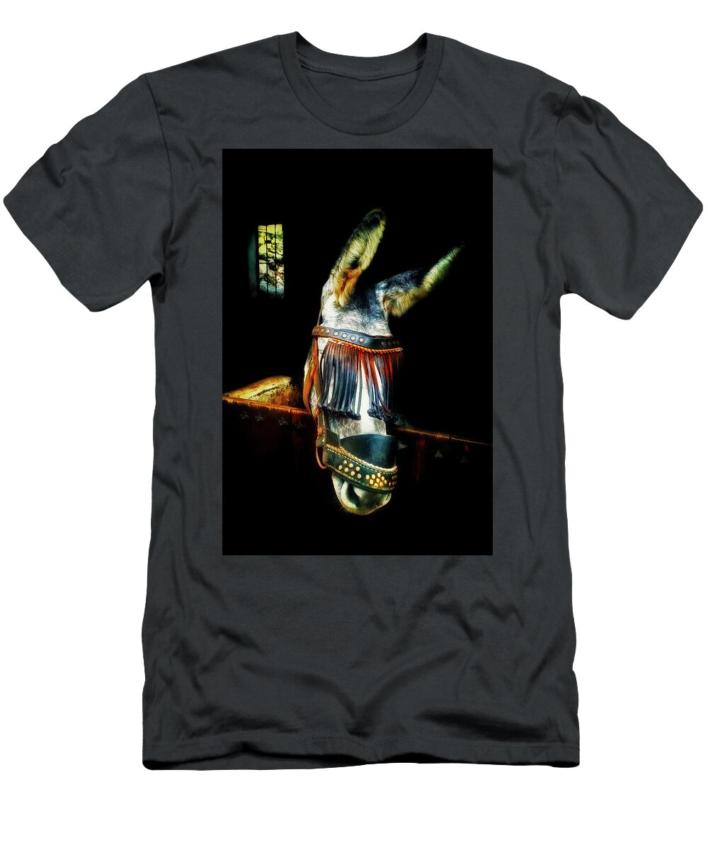 Stabled Donkey in Frigiliana Village Costa Del Sol Malaga Province Andalucia Spain Panoramic Images T-Shirt