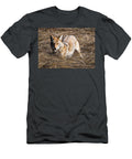 Stare of the Coyote Dawn Key T-Shirt