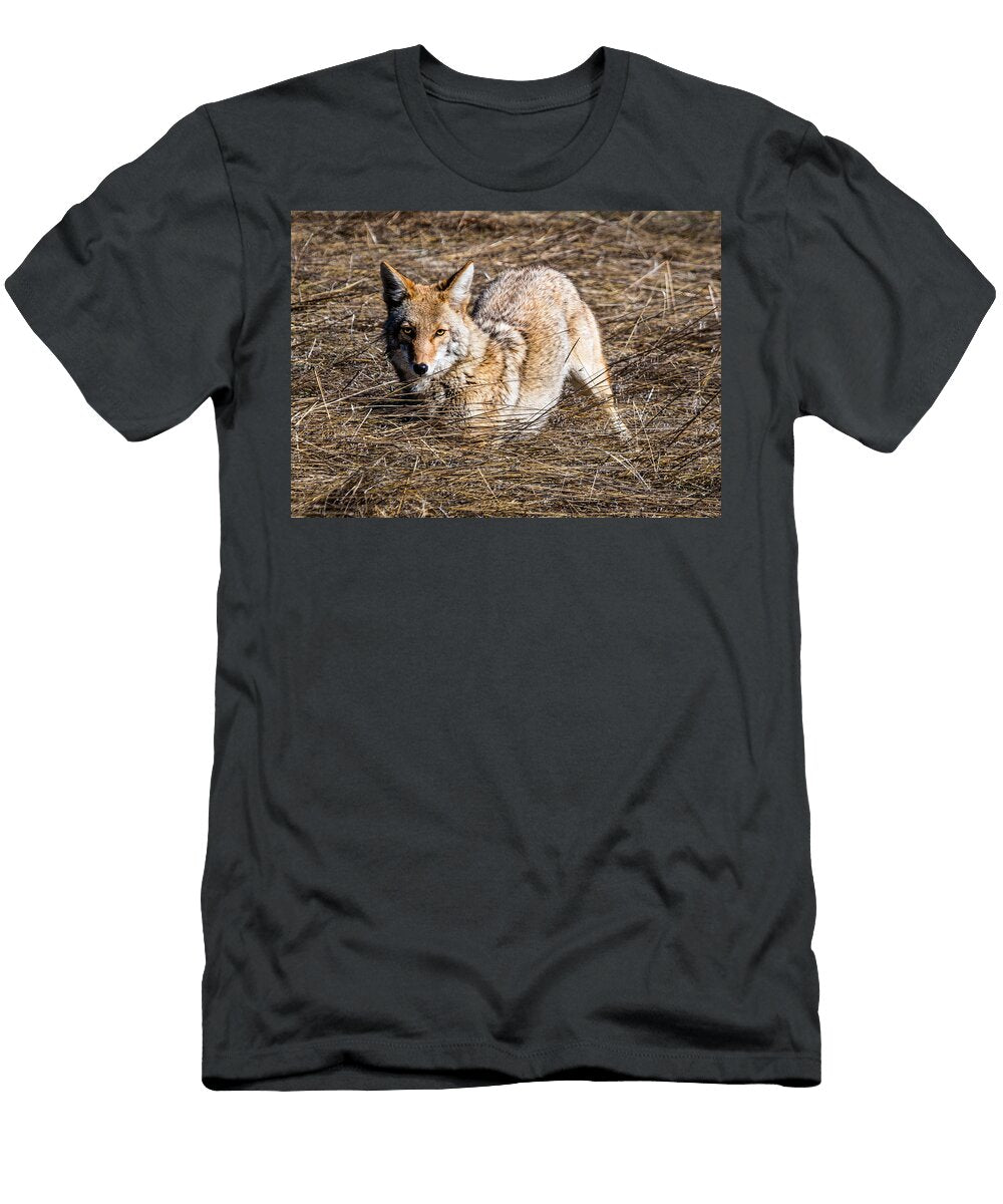 Stare of the Coyote Dawn Key T-Shirt