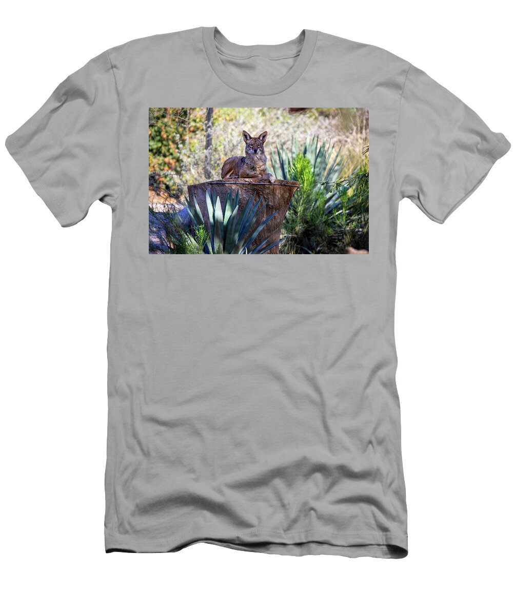 Statuesque Coyote Anthony Jones T-Shirt