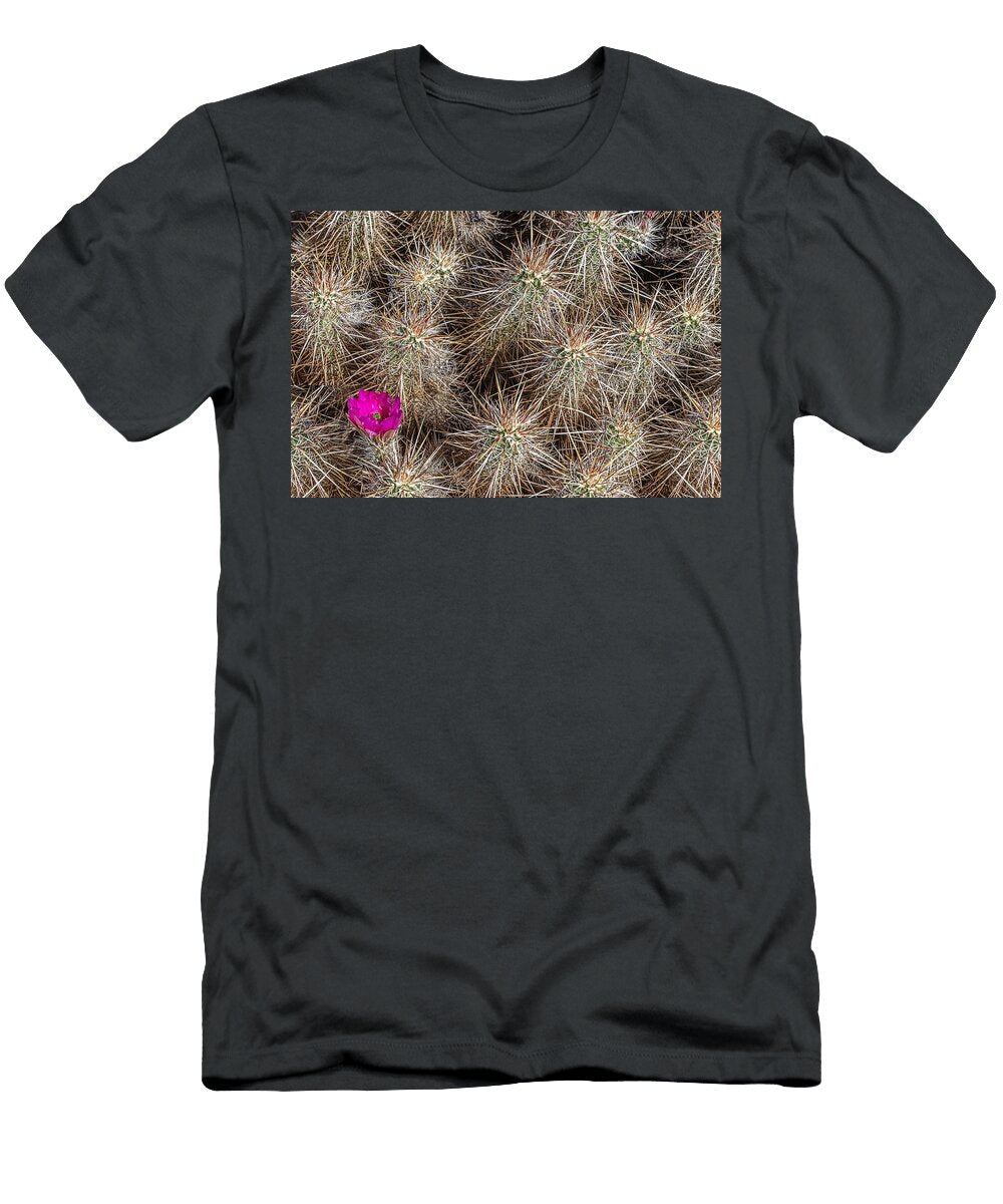Sticky Mess Peter Tellone T-Shirt
