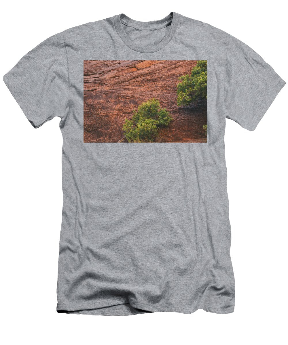 Still Life in the Gulch Kunal Mehra T-Shirt