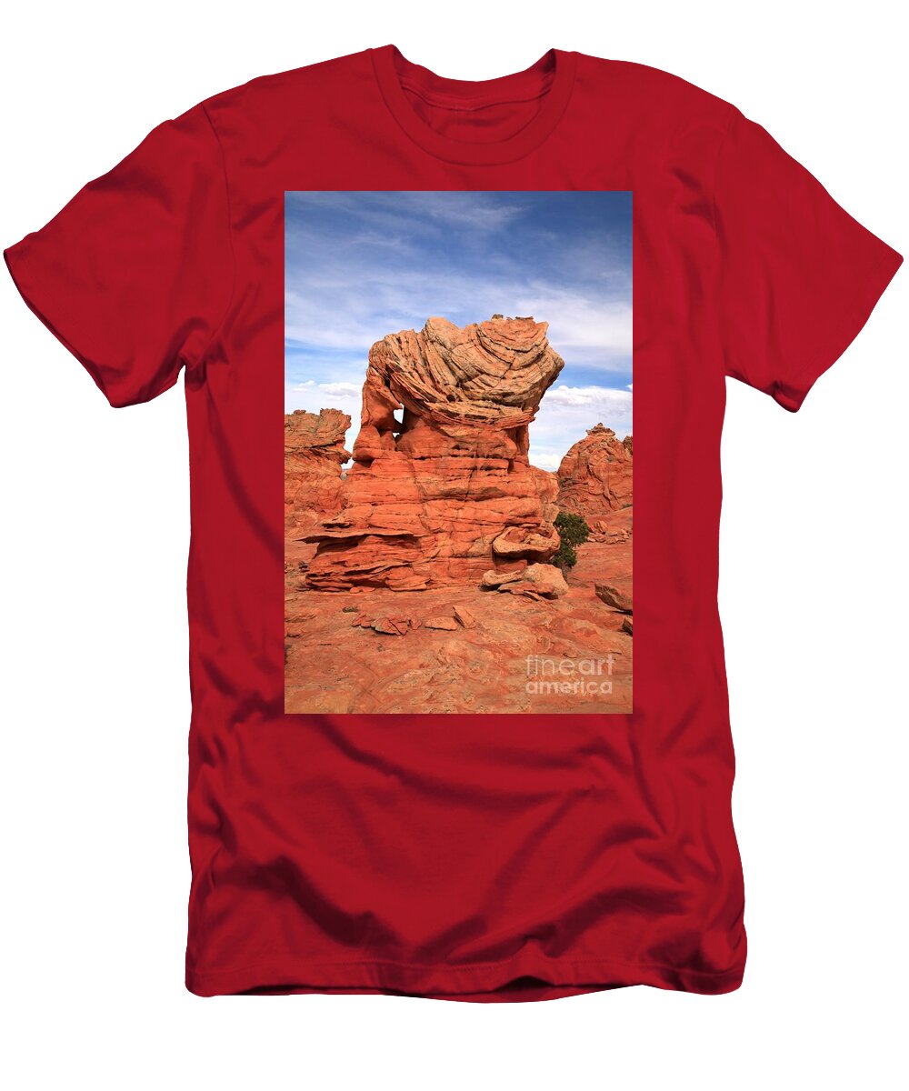 Stone Robot Adam Jewell T-Shirt