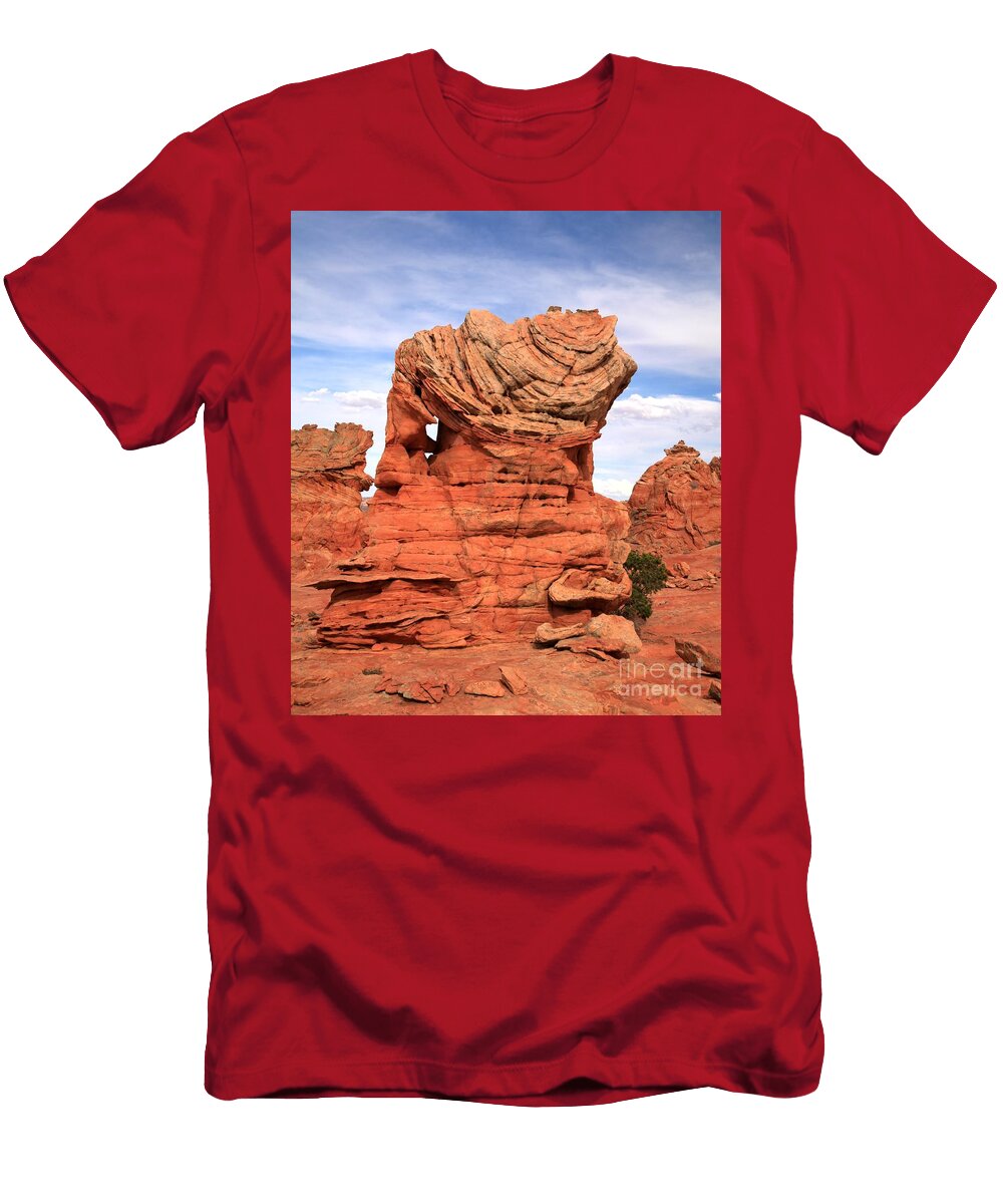 Storm Trooper in the Desert Adam Jewell T-Shirt