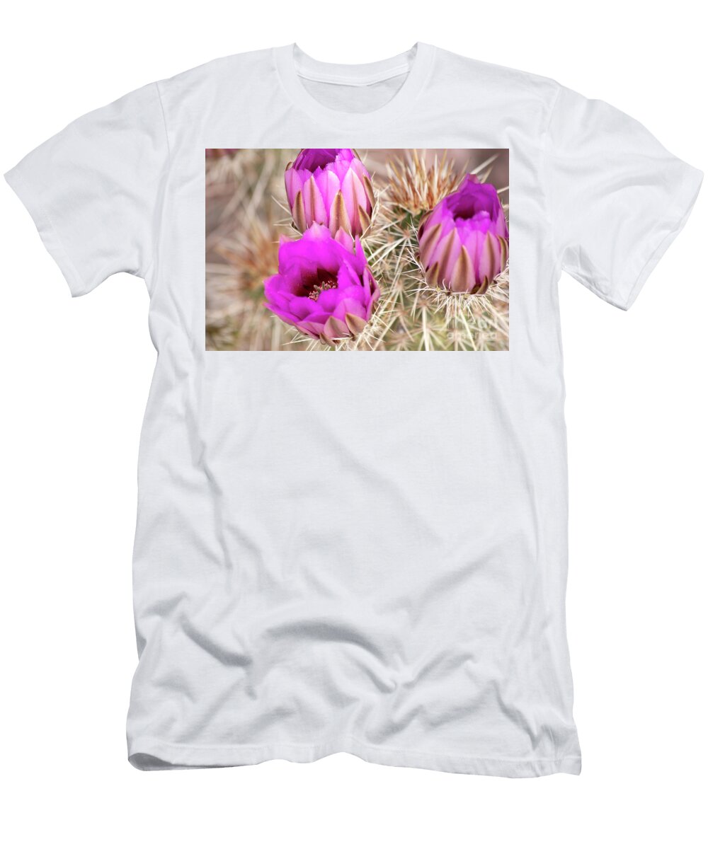 Strawberry Hedgehog Cactus 02 Elisabeth Lucas T-Shirt