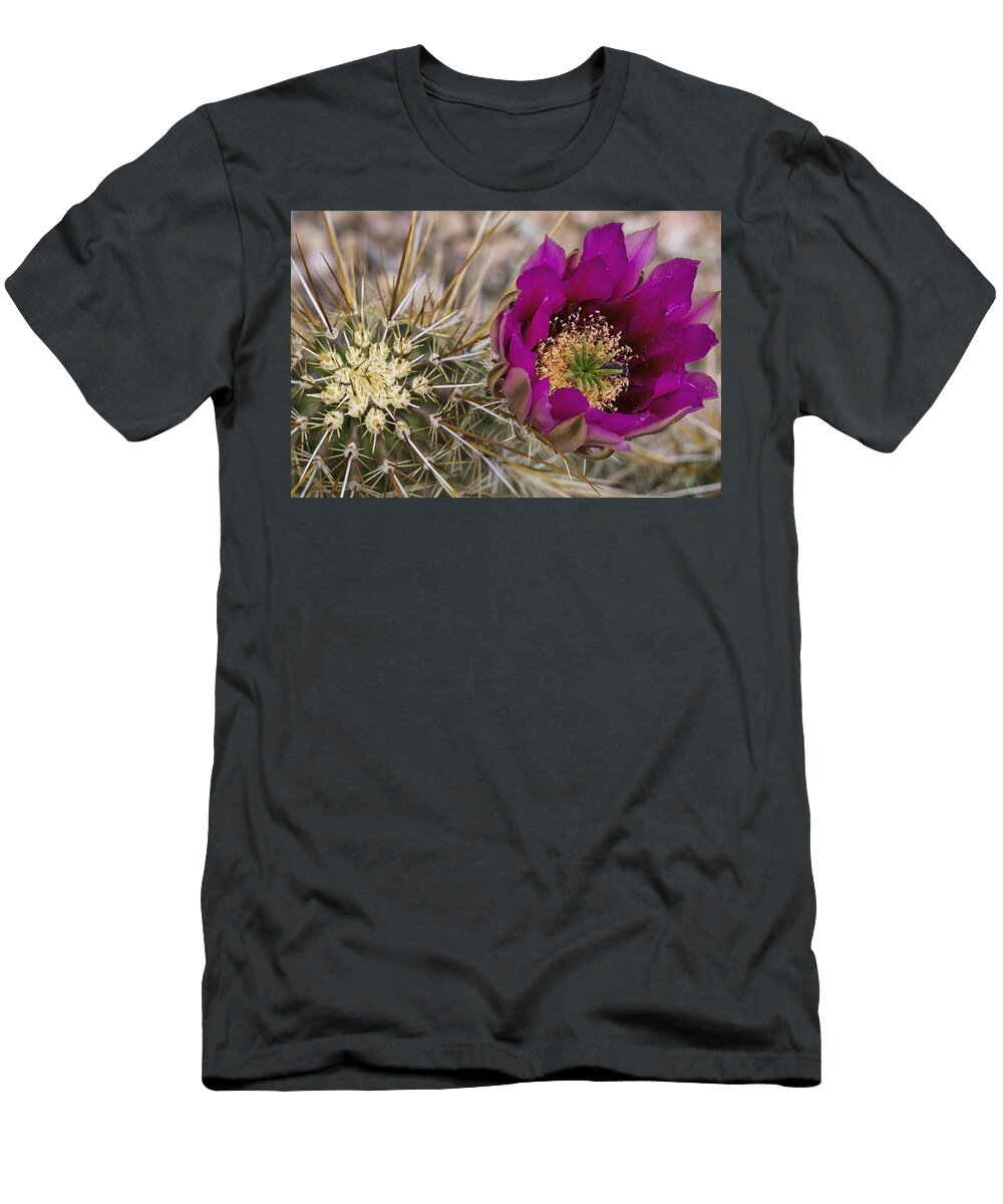 Strawberry Hedgehog Cactus Blossom Saija Lehtonen T-Shirt
