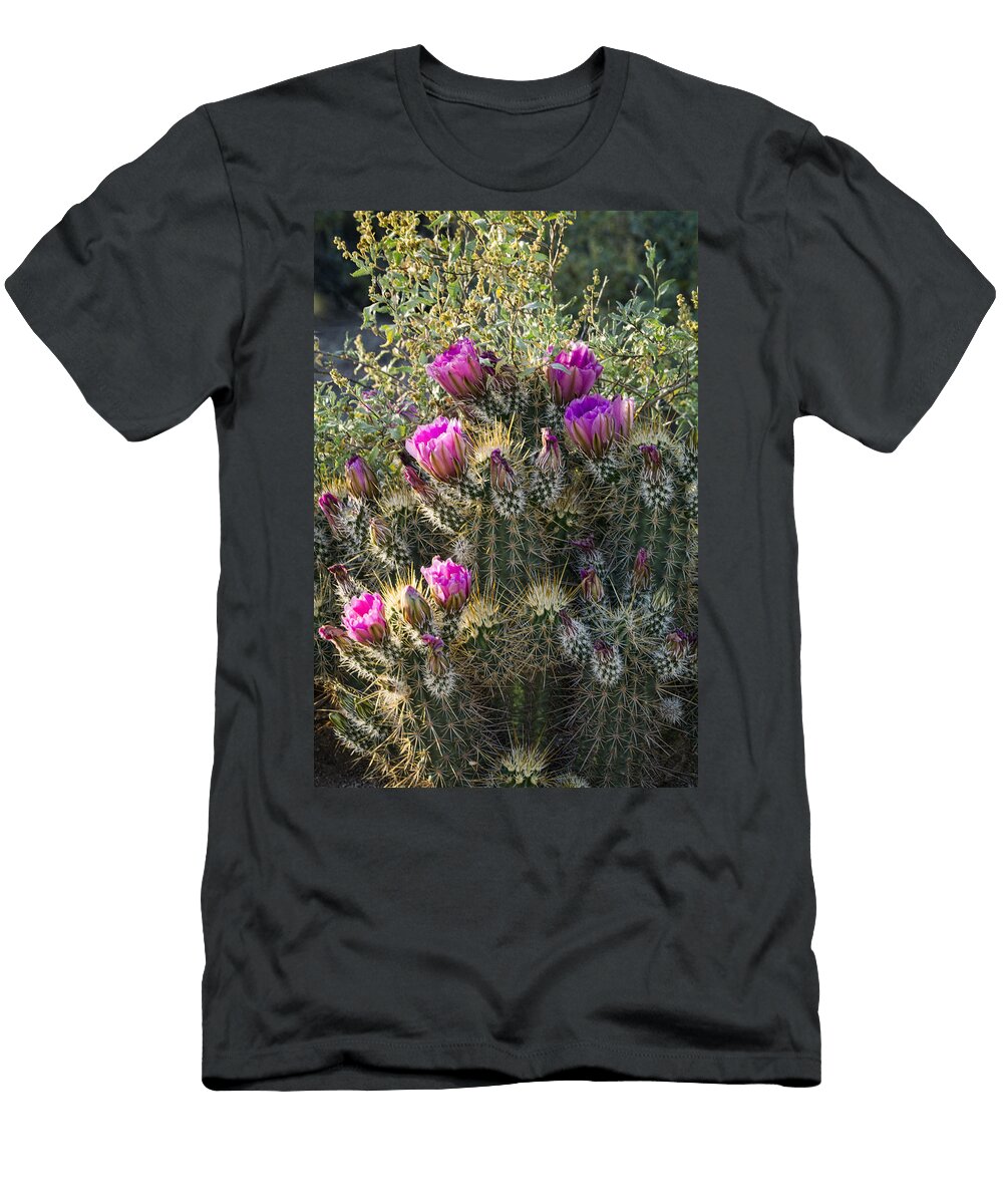 Strawberry Hedgehog Cactus Saija Lehtonen T-Shirt