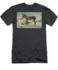 Studies of Animals Stephen Briggs Carlil T-Shirt