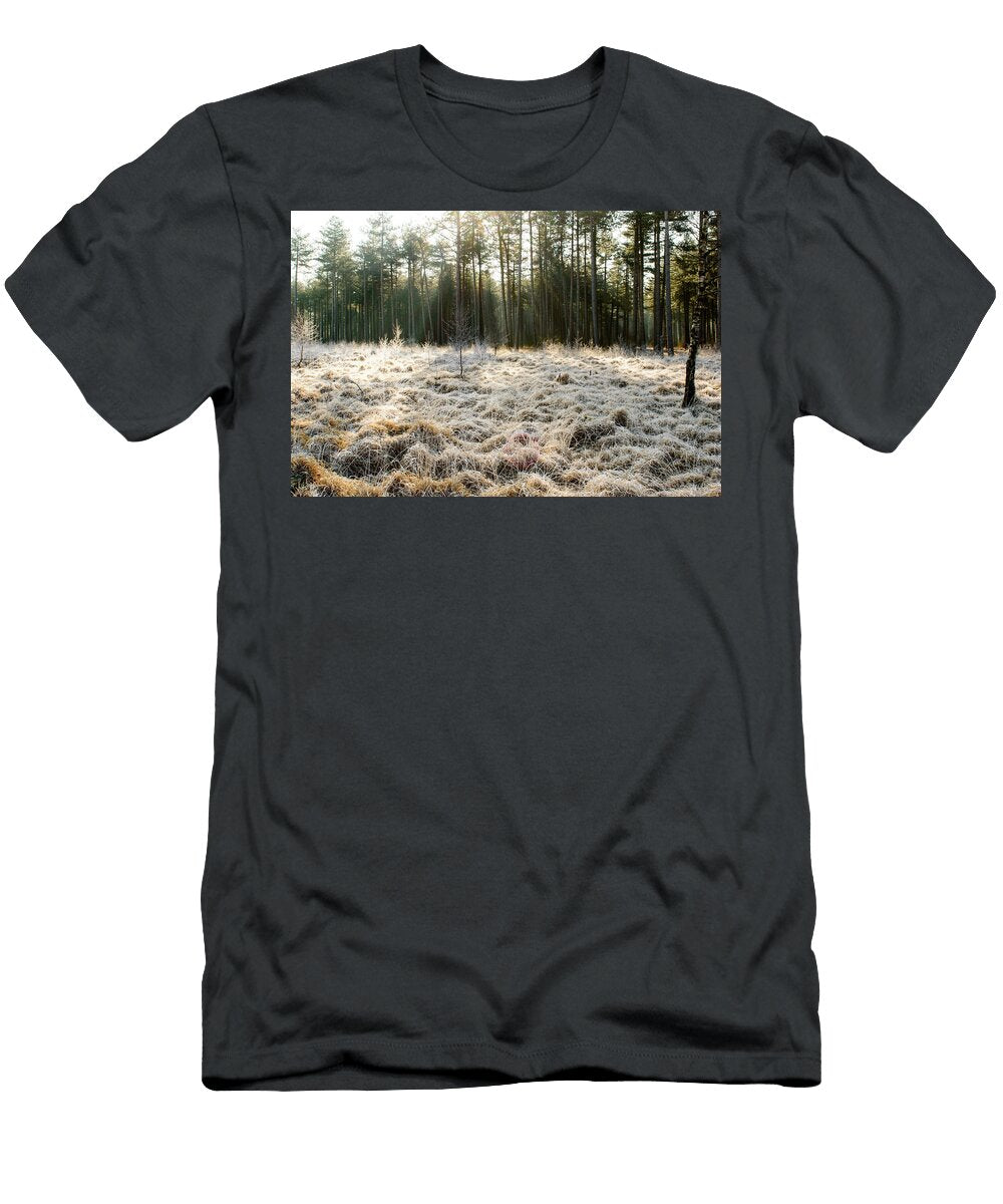 Sun Beams on Frosted Grass Johan Ferret T-Shirt