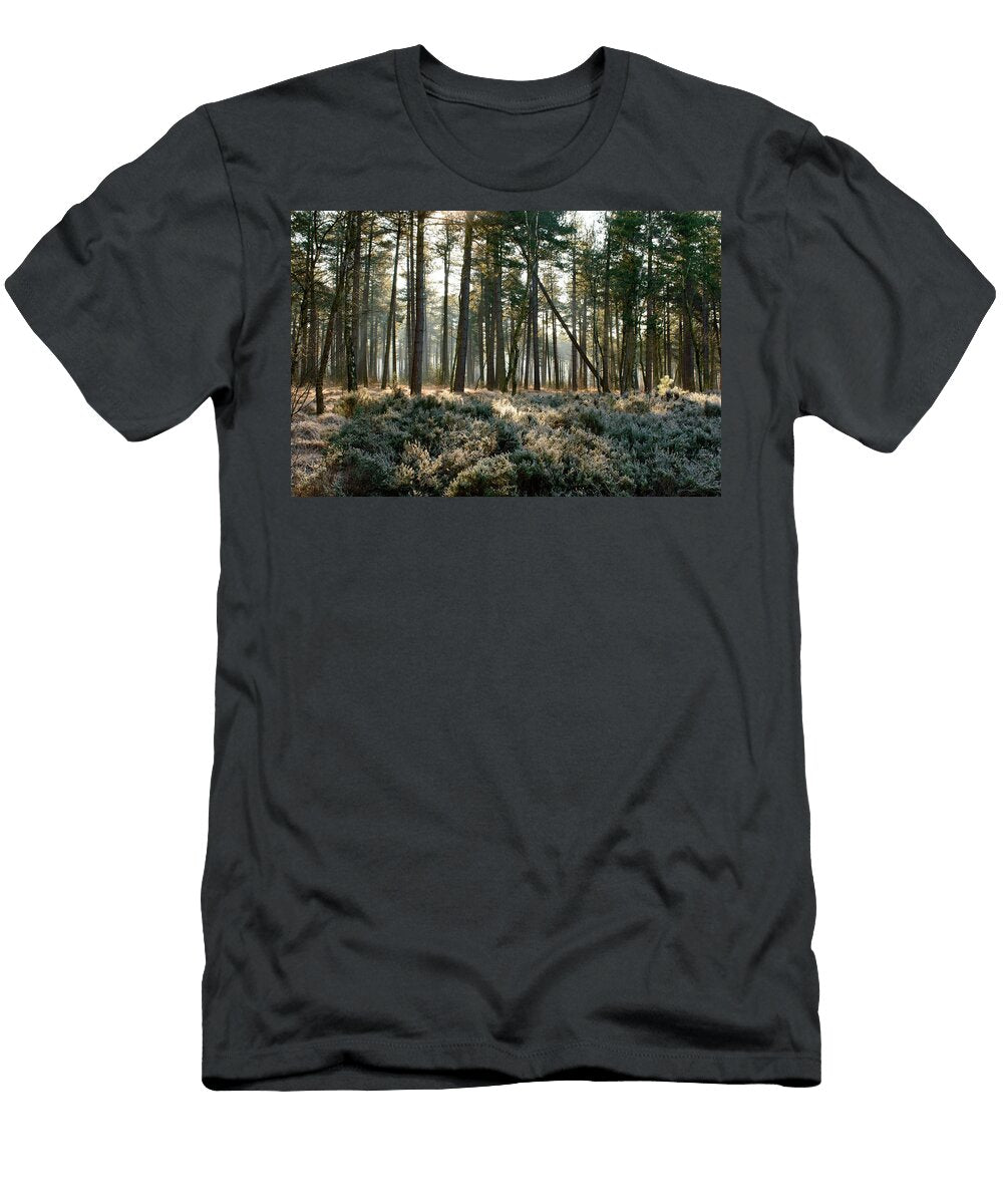 Sunlight Shining Through Forest Trees with Frost Johan Ferret T-Shirt