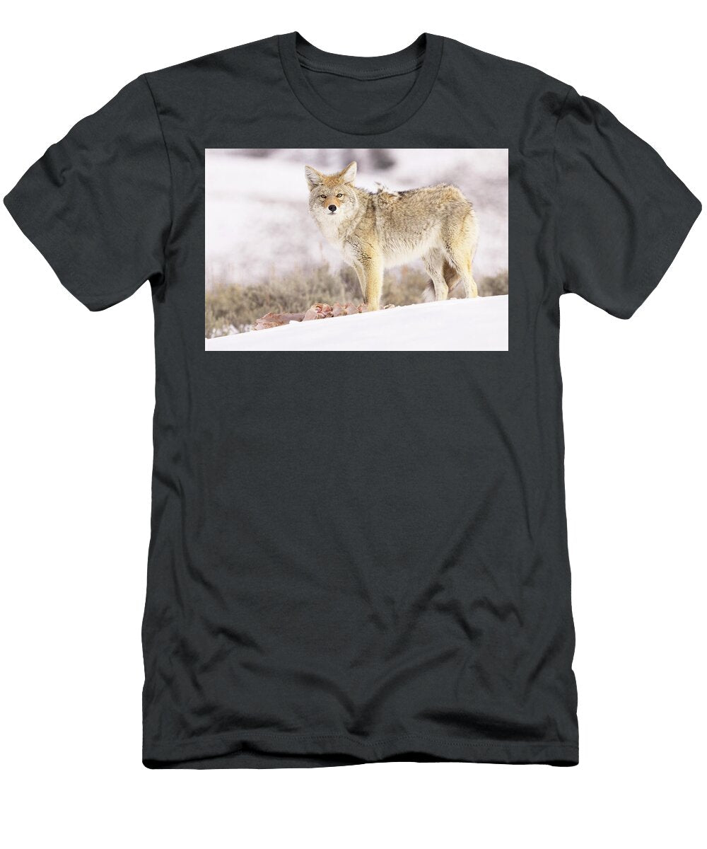 Surviving Winter Isabella Smedley T-Shirt