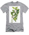 Swamp Magnolia Magnolia Virginiana 1918 By Mary Vaux Walcott Les Classics T-Shirt