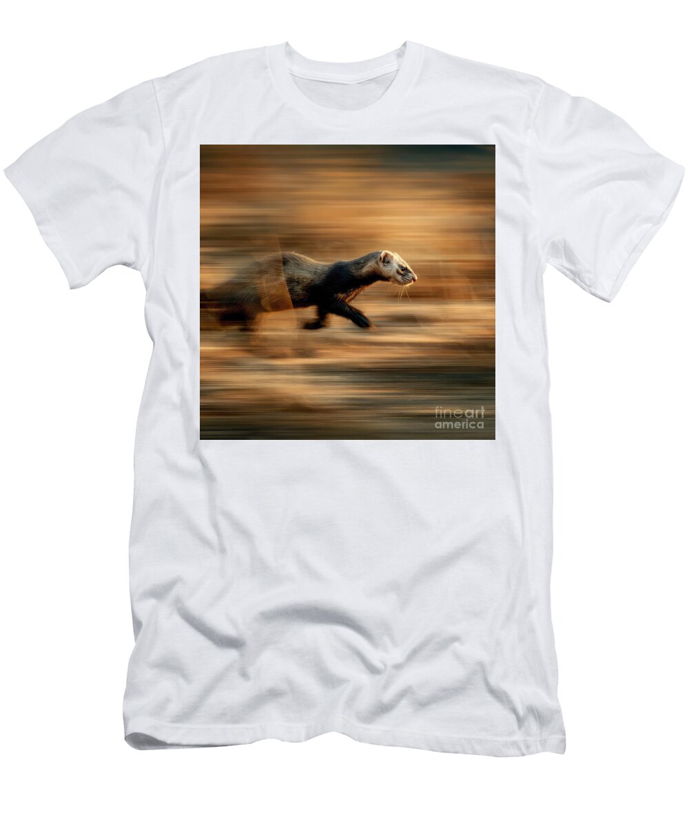 Swift Ferret in Motion Elisabeth Lucas T-Shirt