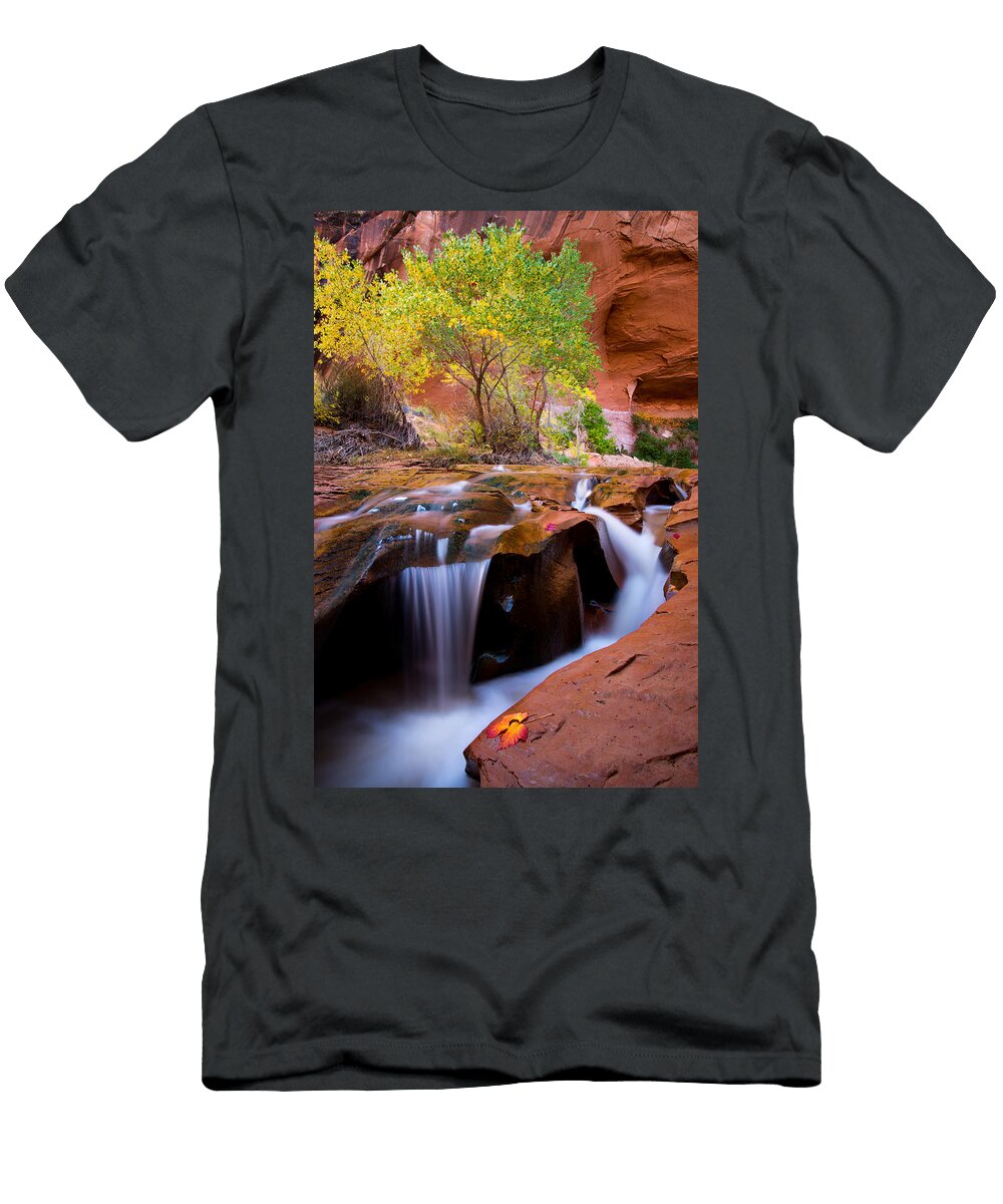 Swiss Cheese Falls Dustin Lefevre T-Shirt