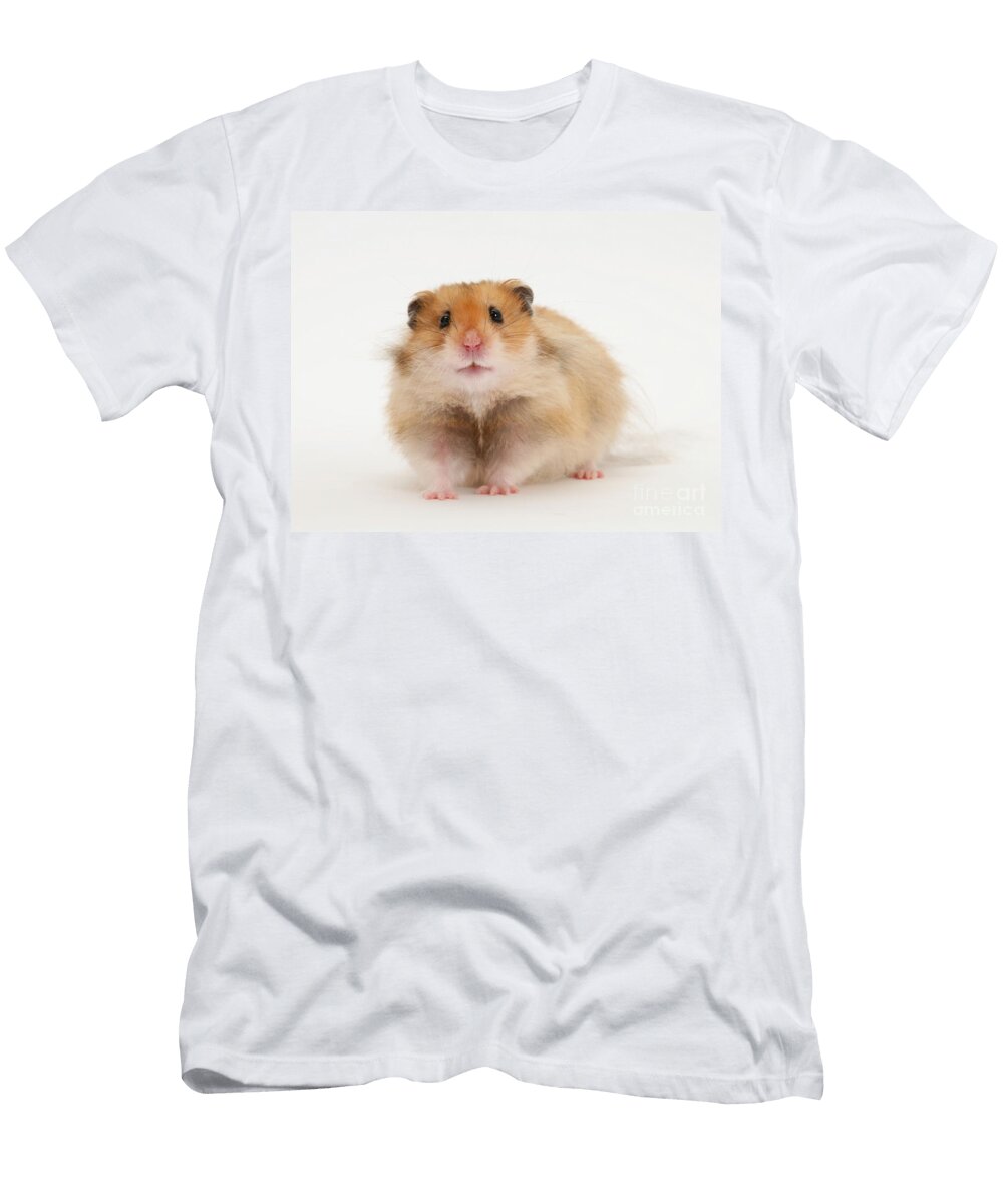 Syrian Hamster Mark Taylor T-Shirt