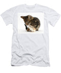 Tabby Kitten and Hamster Mark Taylor T-Shirt