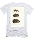 Tailless Tenrec 1824 Karl Joseph Brodtmann T-Shirt