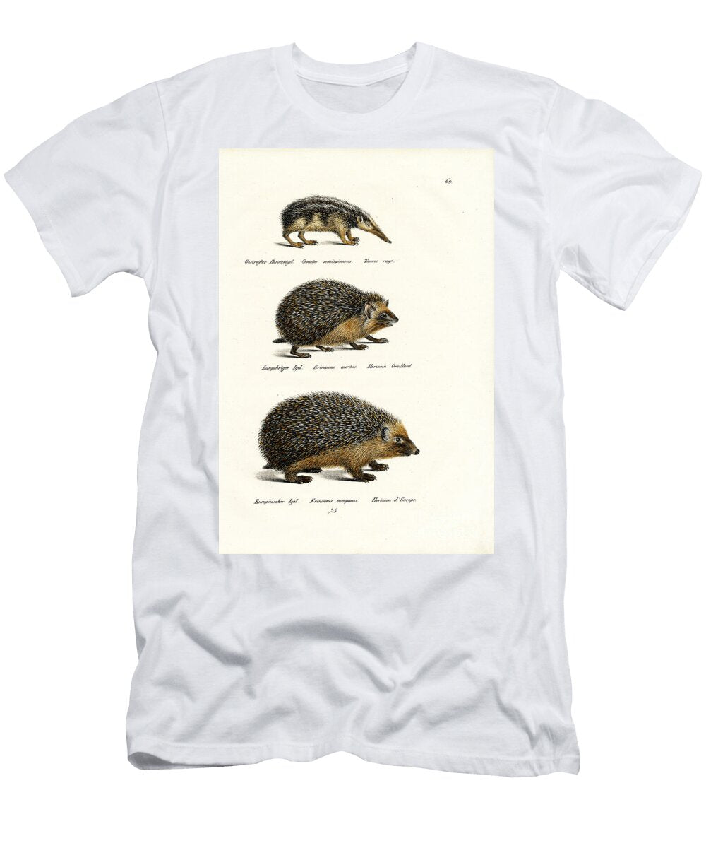 Tailless Tenrec 1824 Karl Joseph Brodtmann T-Shirt