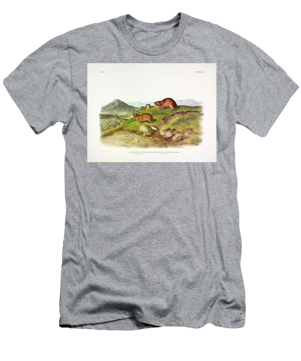 Tawny Leming John James Audubon T-Shirt
