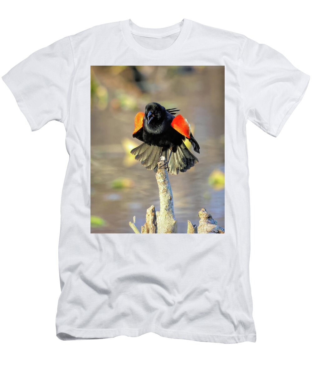 Territory Declared Dennis Lundell T-Shirt