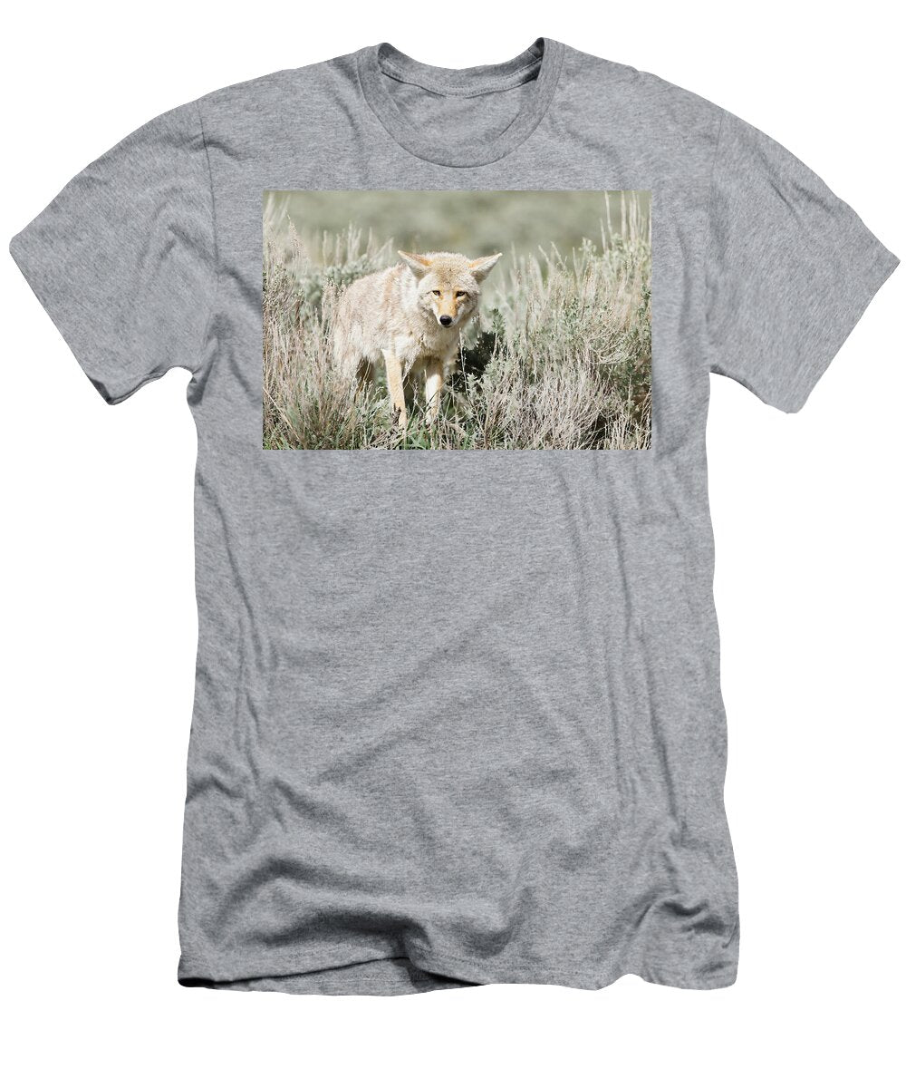 The Most Famous Coyote in the World Isabella Smedley T-Shirt