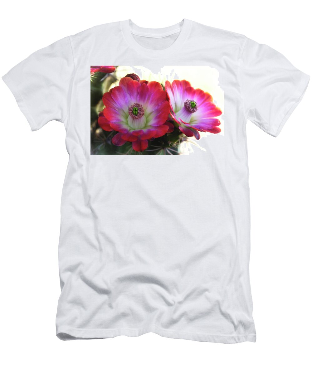 The Beauty of a Desert Springtime Saija Lehtonen T-Shirt