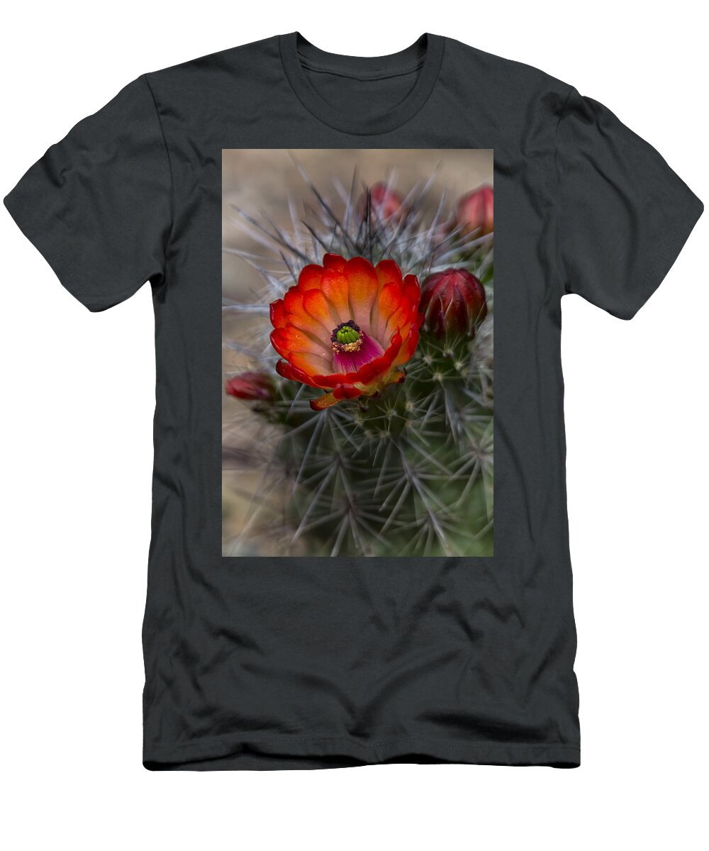 The Beauty of the Southwest Saija Lehtonen T-Shirt