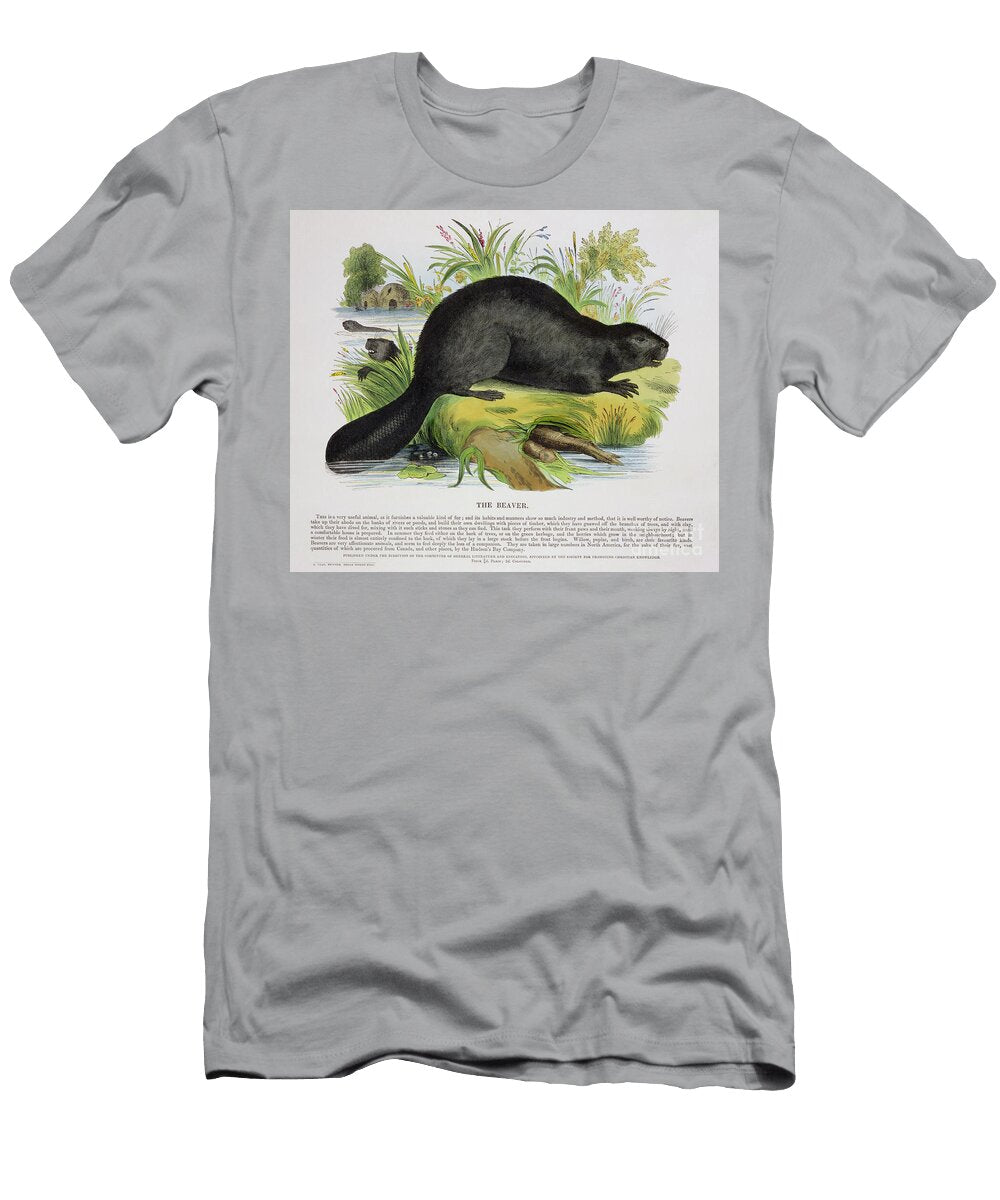 The Beaver Educational Illustration Pub By the Society for Promoting Christian Knowledge 1843 Josiah Wood Whymper T-Shirt