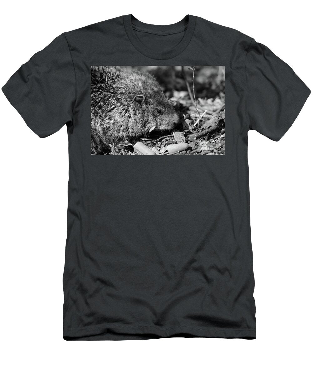The Carrot Eating Groundhog Black and White Paul Ward T-Shirt