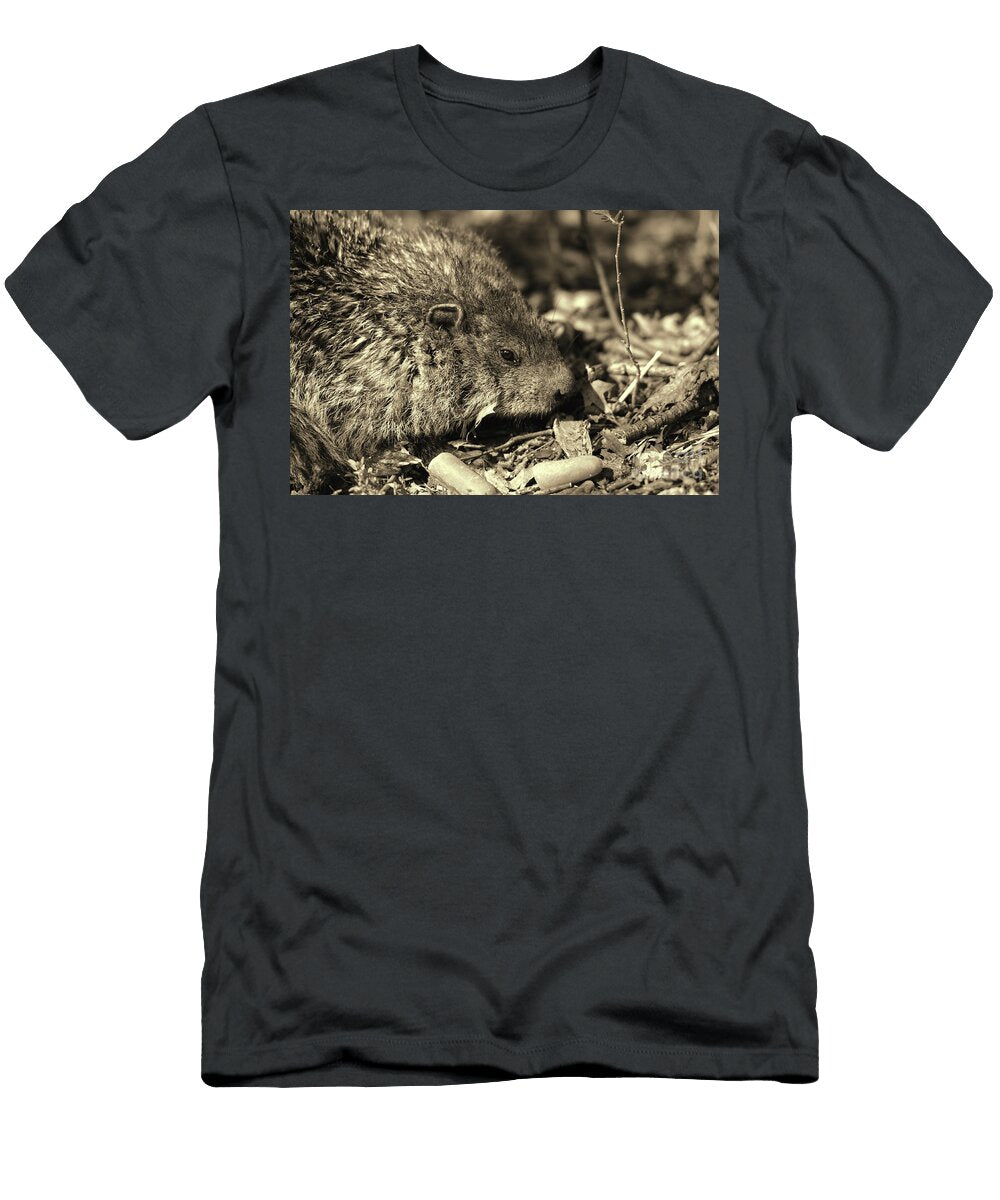The Carrot Eating Groundhog Sepia Paul Ward T-Shirt