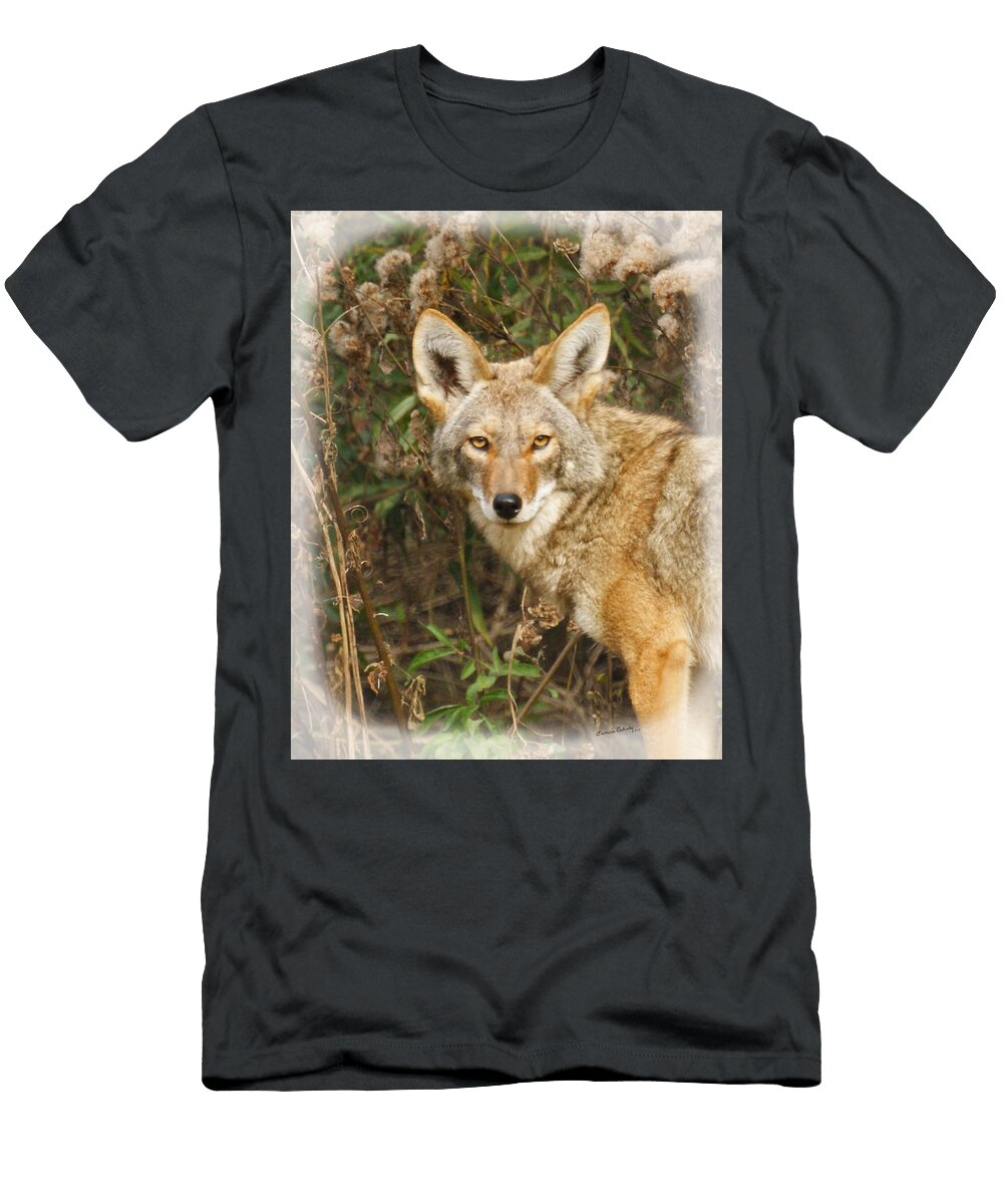 The Coyote 2 Ernie Echols T-Shirt