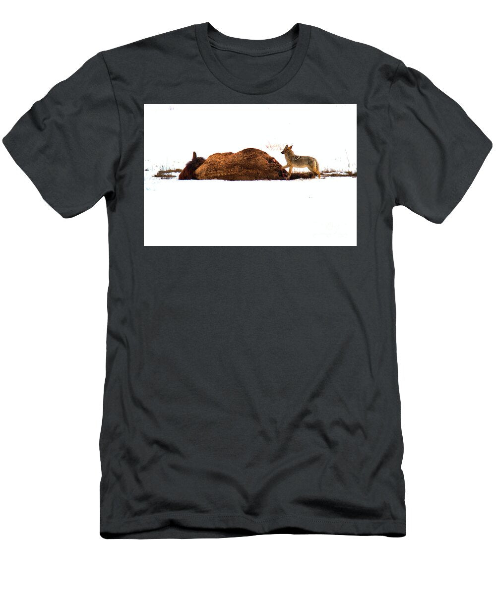 The Coyote and the Carcass Adam Jewell T-Shirt