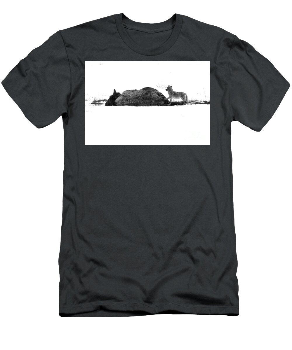 The Coyote and the Carcass Black and White Adam Jewell T-Shirt