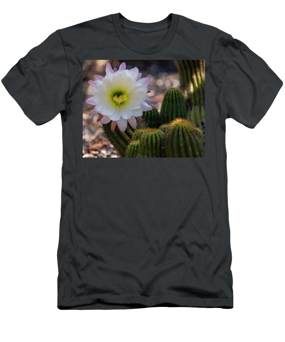 The Glory of Echinopsis Brian Morefield Prose Imagery T-Shirt