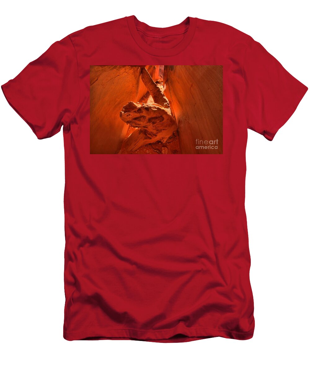 The Paria Dragon Adam Jewell T-Shirt