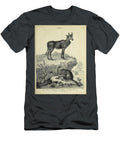 The Picta Antelope or Nylgau and the Beaver I1 Historic Illustrations T-Shirt