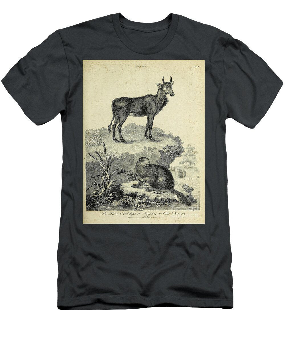The Picta Antelope or Nylgau and the Beaver I1 Historic Illustrations T-Shirt