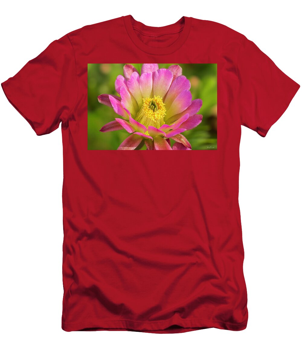 The Precision of Spring Rick Furmanek T-Shirt