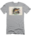 The Rakali Hydromys Chrysogaster C2 Historic Illustrations T-Shirt
