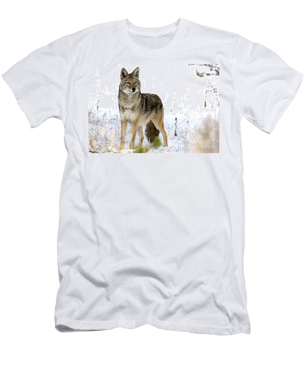 The Search Deby Dixon T-Shirt