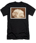 The Waterfalls At Tivoli 1833 Agostino Tofanelli T-Shirt